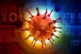Virus Removal Albany GA